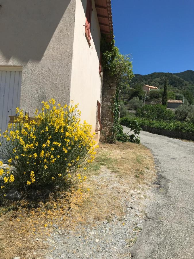 La Ferme Des Cailletiers Chez Marco Villa Lucéram Kültér fotó