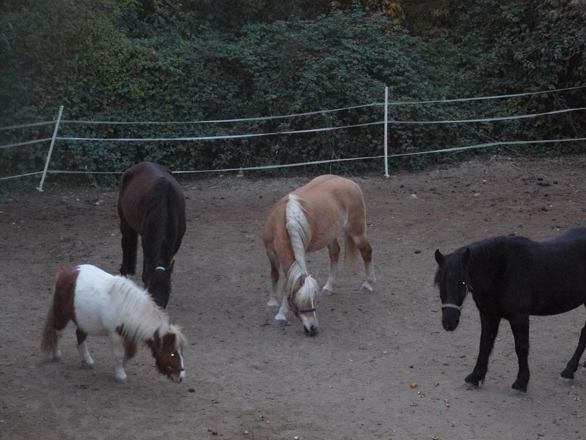 La Ferme Des Cailletiers Chez Marco Villa Lucéram Kültér fotó
